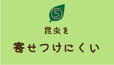 5、昆虫を寄せつけない