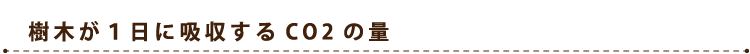 樹木が１日に吸収するCO2の量